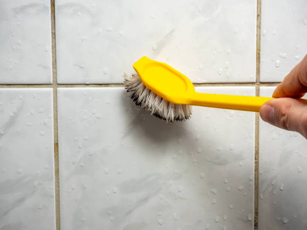 Mold Testing and Removal in South Greeley, WY