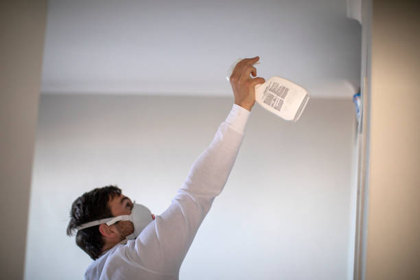 Best Mold Testing  in South Greeley, WY
